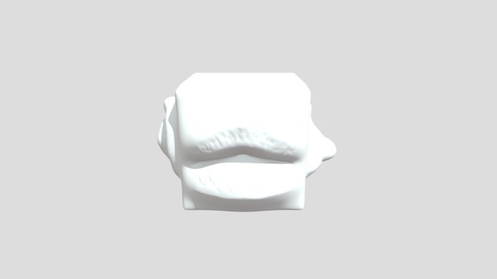 Anatomy+cube+number+2+joshua+ortiz 3D Model
