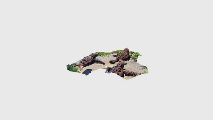 Turtle 3D Model