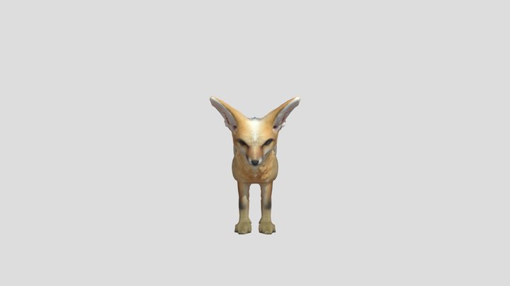 Blanford's Fox