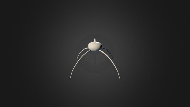 Surskit 3D Model