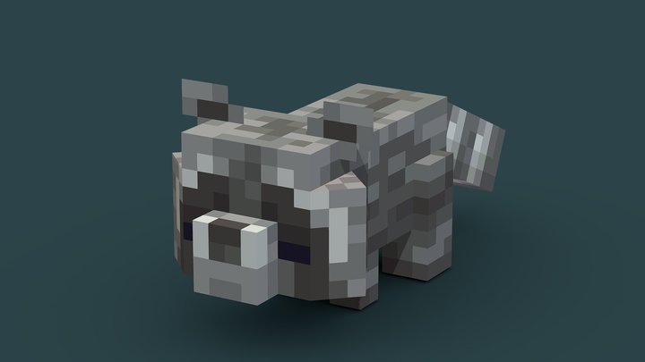 Raccoon 3D Model