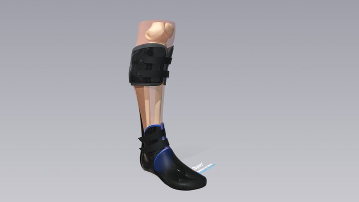 Chopart 3D Model