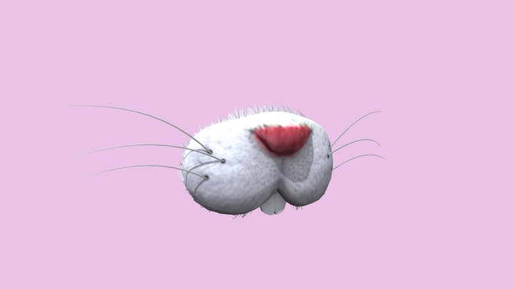Rabbit Mouth AR 3D Model