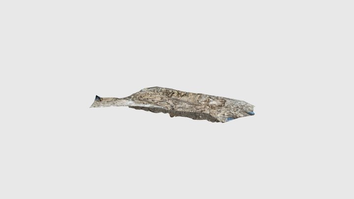 Shallow grave burial sept 24 3D Model
