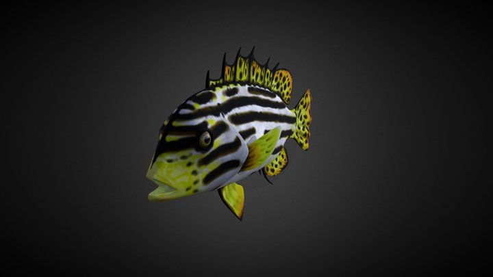 Marvin, the Lion Fish 3D Model