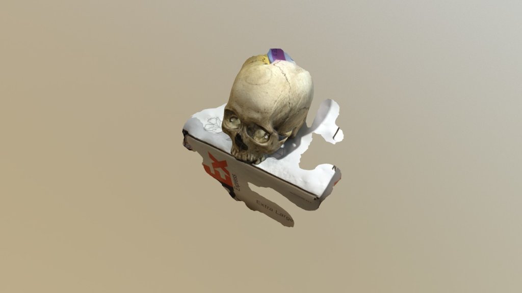 Skull test