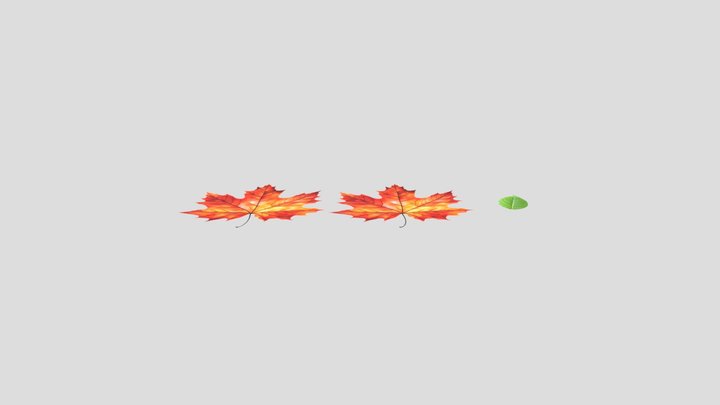 Leaf