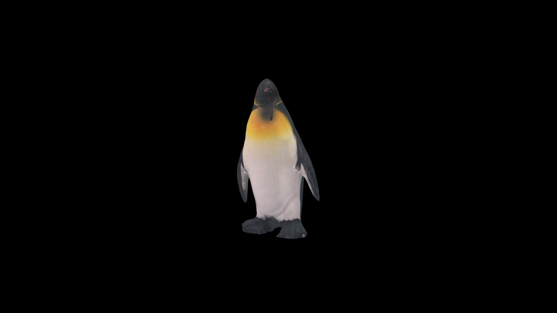 Penguin3 - 3D model by tamamarasy [422abc2] - Sketchfab