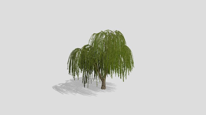 Willow – Modello 3D gratuito STL