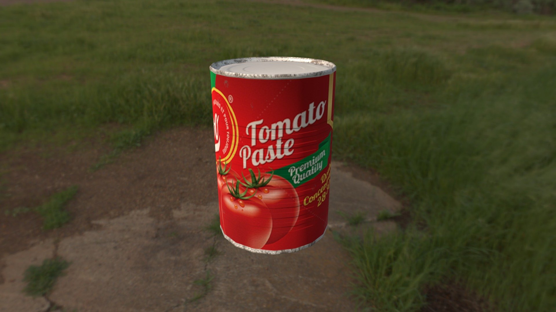 Tomato Paste Tin
