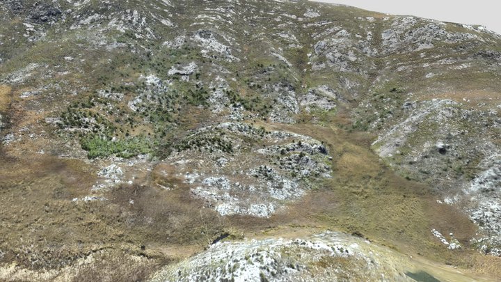 Springstygbeugel 11-2025 3D Model