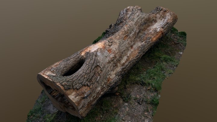 Hollow log 3D Model