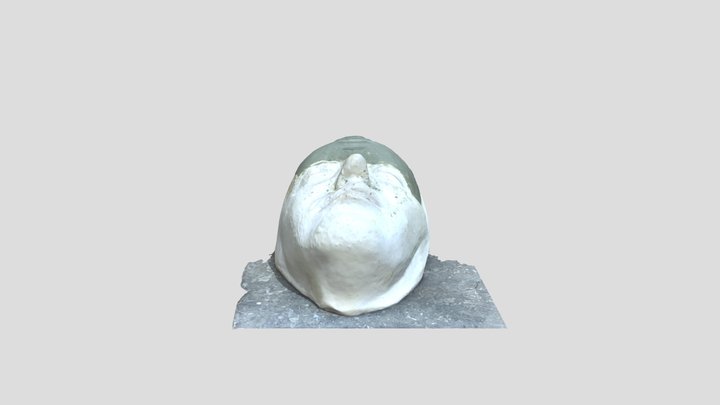 Lifecast_3D 3D Model