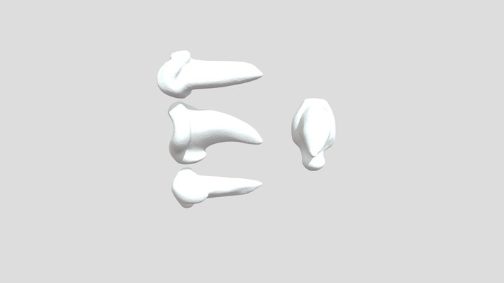 Dinosaur Claw Render 3D Model