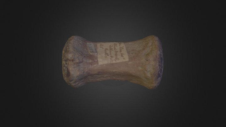 Z 2370 3D Model