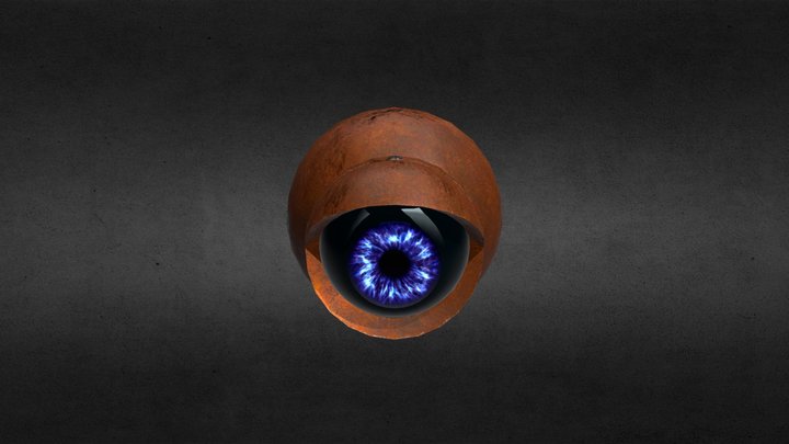 Web Camera. 3D Model