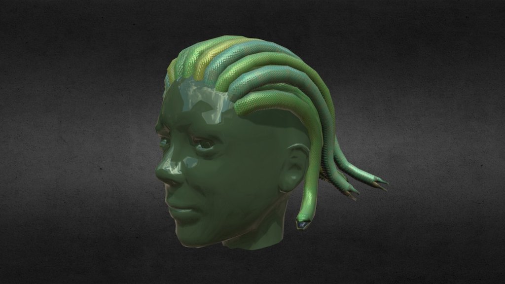 medusa hair - 3D model by captnpower [423720b] - Sketchfab