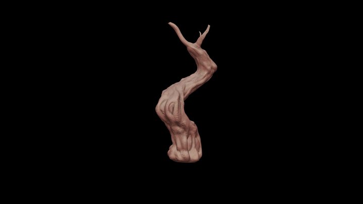 High Poly 3D Model