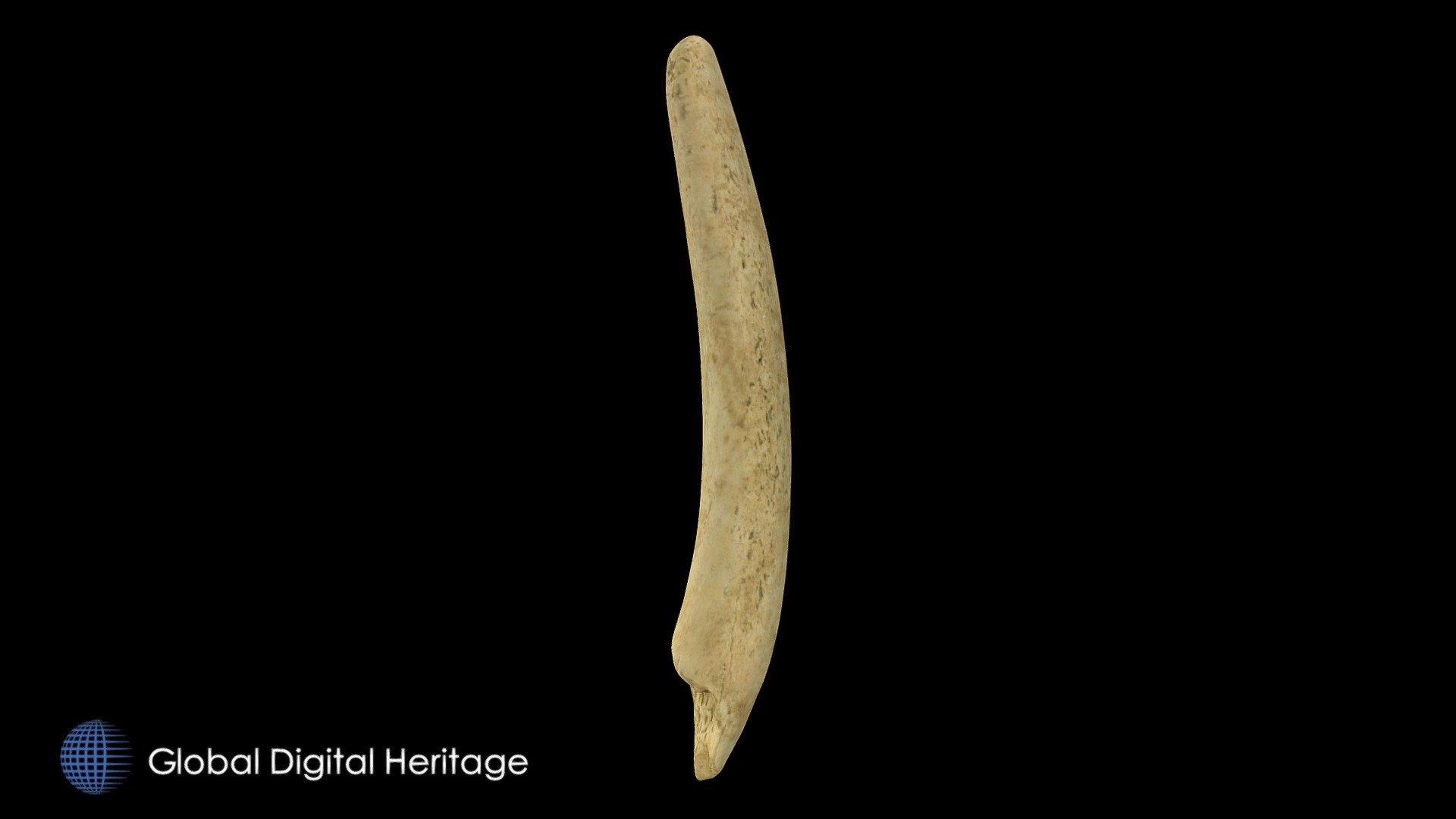 XFP-067 bone tool. Sanak Island, Alaska