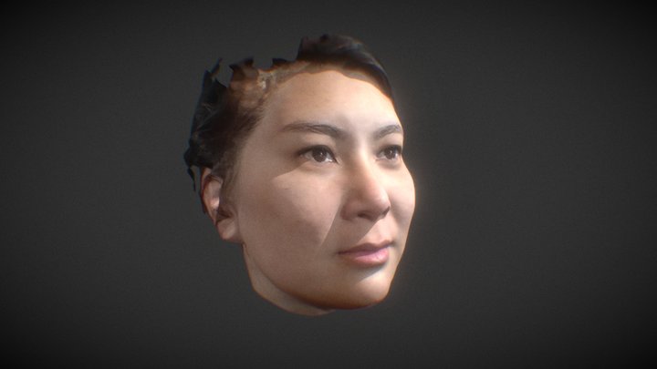 n 3D Model