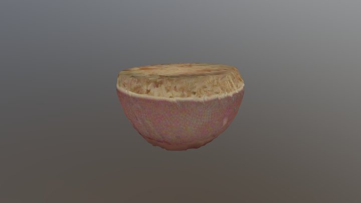 米饭 3D Model
