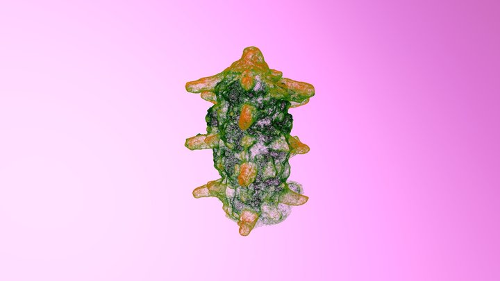 Mid Point Cloud 2 3D Model