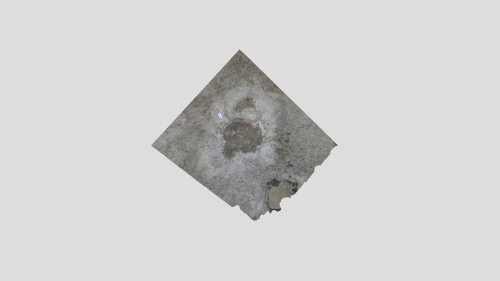 Sauropod Dinosaur Footprints (Oxfordshire) 3D Model