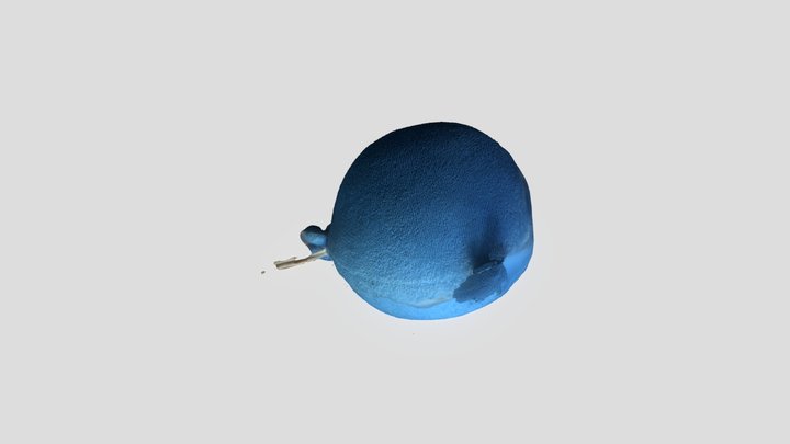 앵그리버드 3D Model