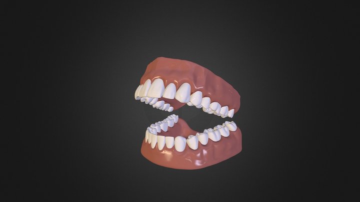teeth 3D Model