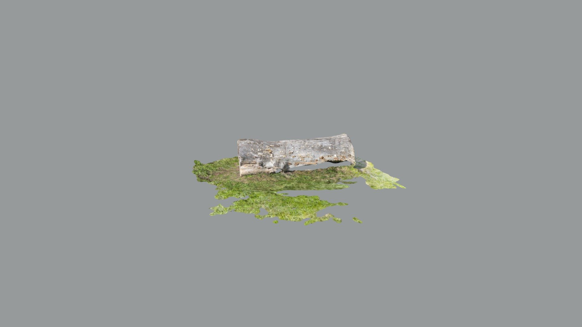 Fongrave