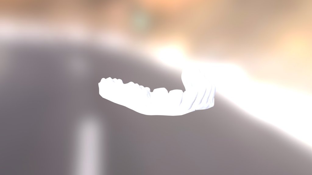 Priscilla Lower Jaw
