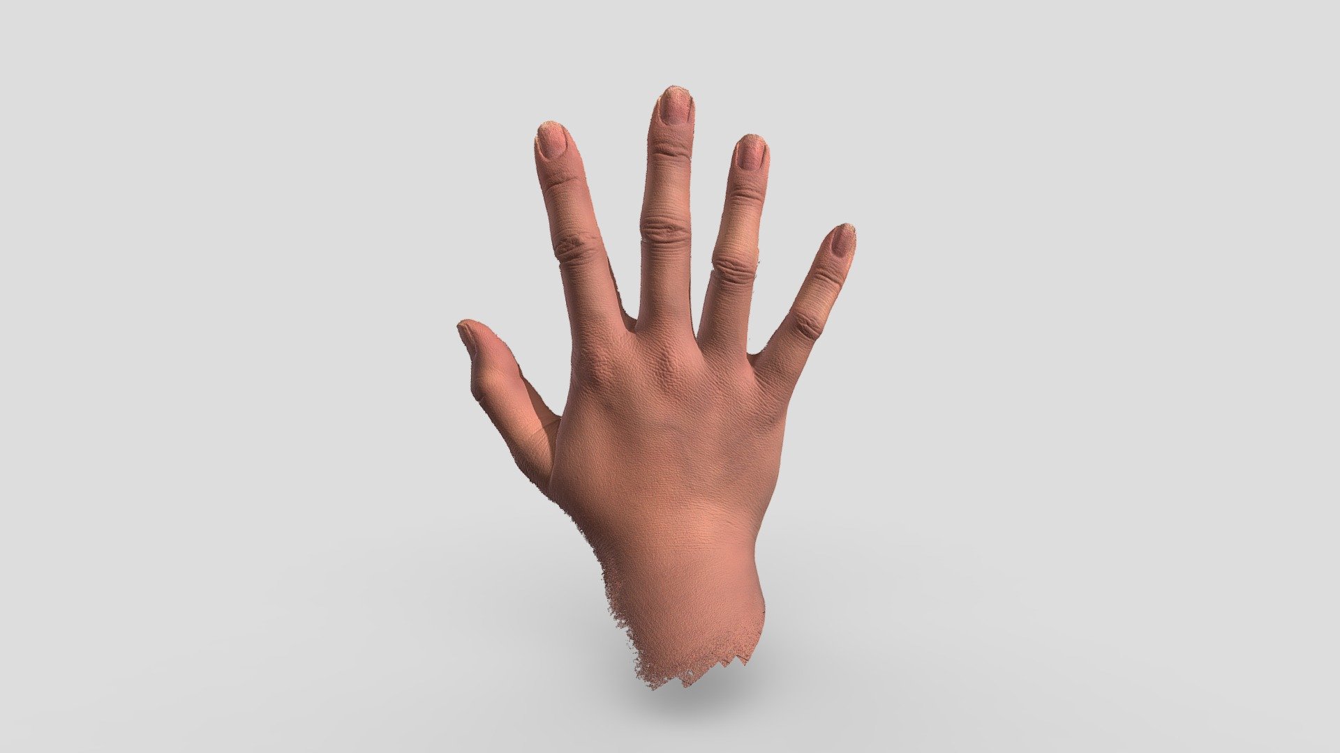 Hand 3d Model By Diana Liu Diana123456 [424974f] Sketchfab