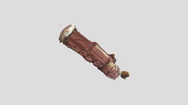 Santo Antônio Maria Claret 3D Model