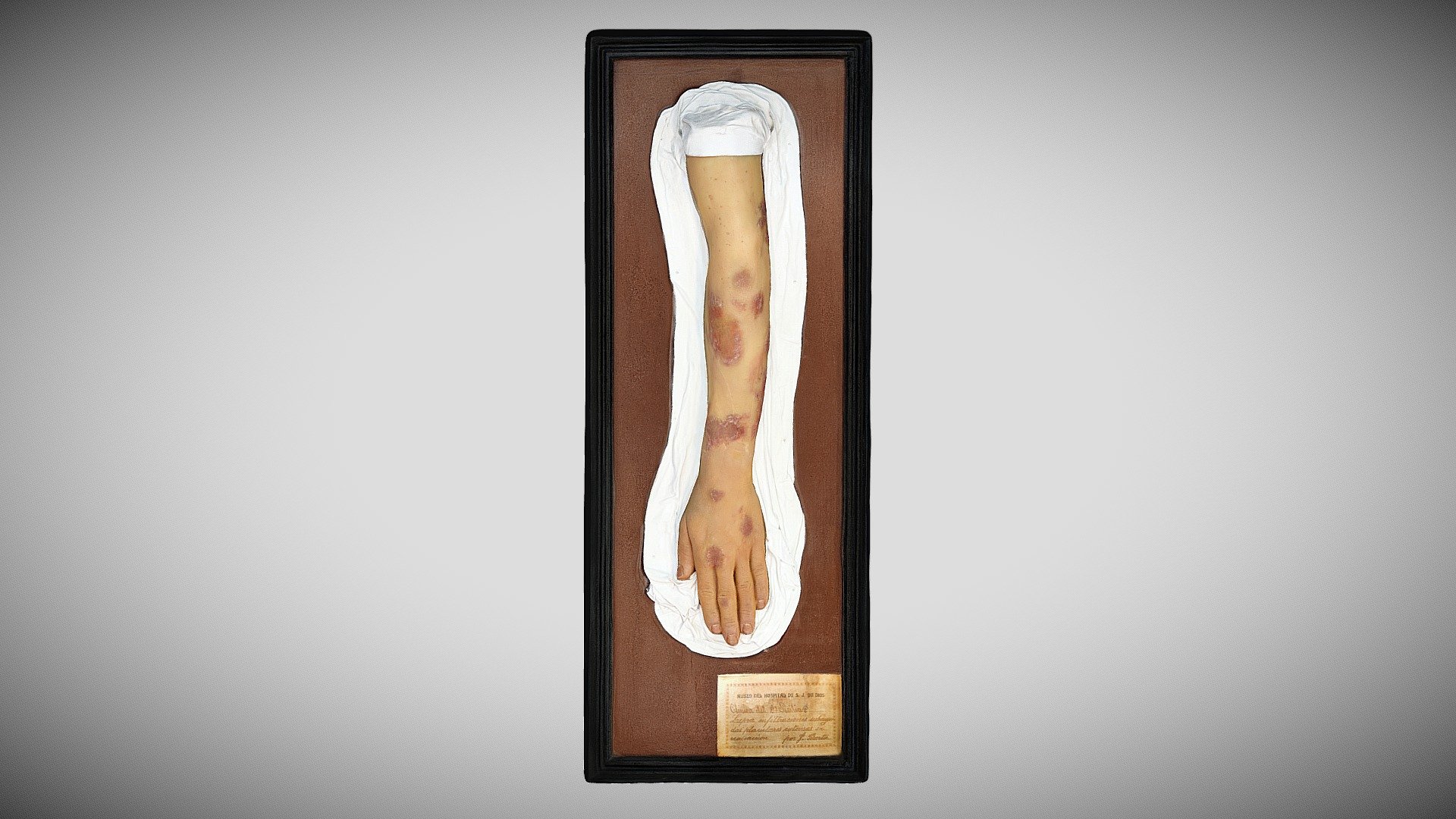 211 - 437 — Sketchfab embed 3D viewer