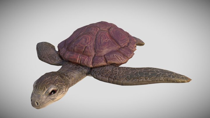 Turtle 3D Model