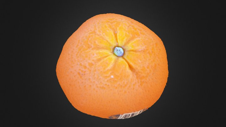 mandarin 3D Model
