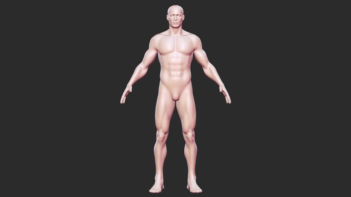 Realistic Male Base Character Game Ready – Modello 3D gratuito STL