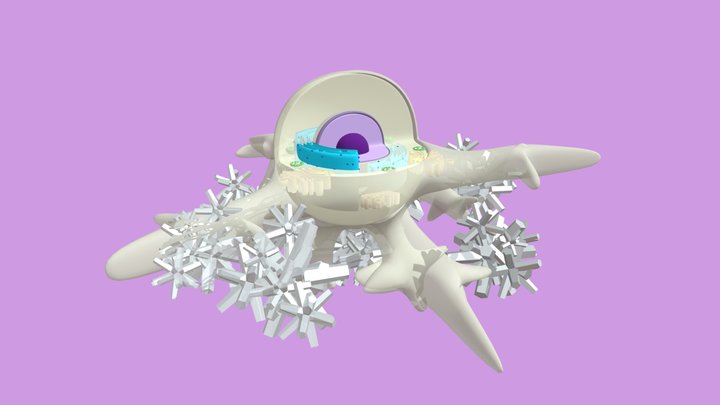 Osteoblast During Ossification 3D Model