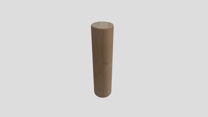 CGT116-A6-Erin_Moore (Cylinder) 3D Model