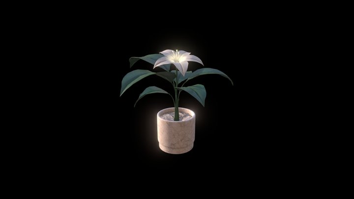 Magic flower LP 3D Model