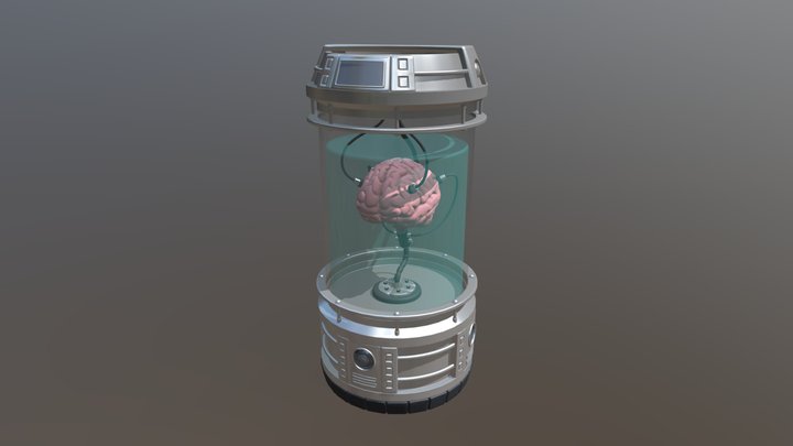 Brain Cylinder 3D Model