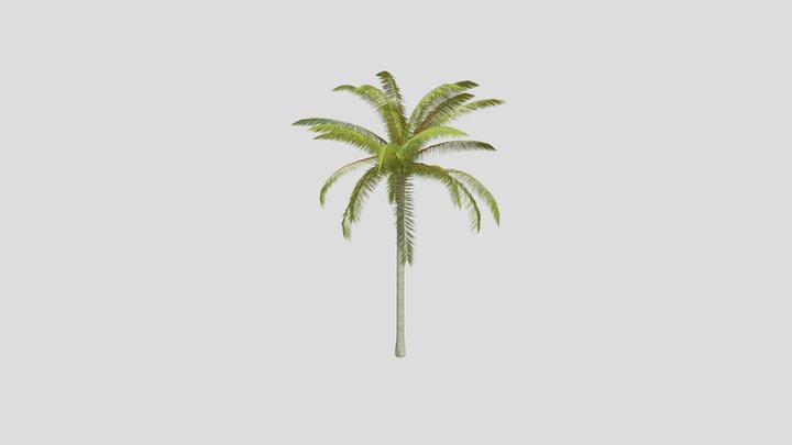 Coconut tree – Free 3D Model STL