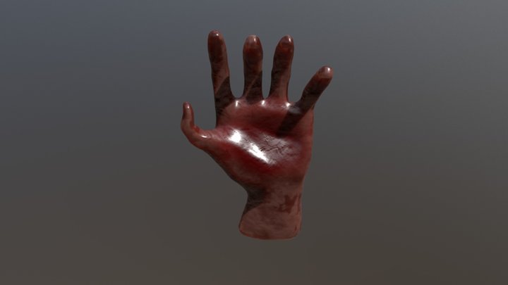 HAND 3D Model