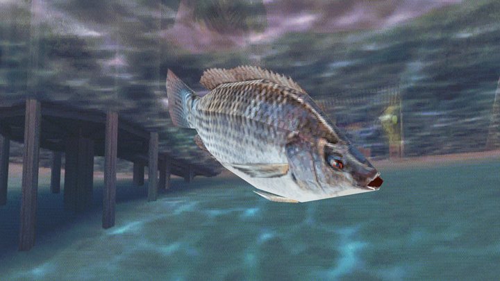 TILAPIA FISH IN PS1 RENDER 3D Model