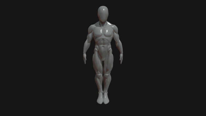 Asa_male_base_decimated_preview 3D Model