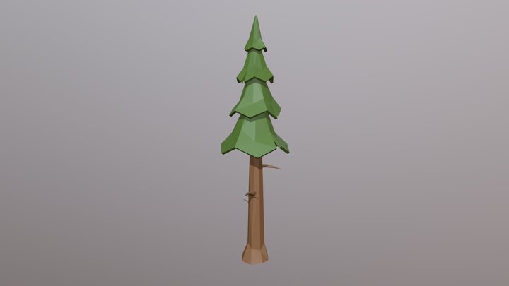 Pine_A 3D Model