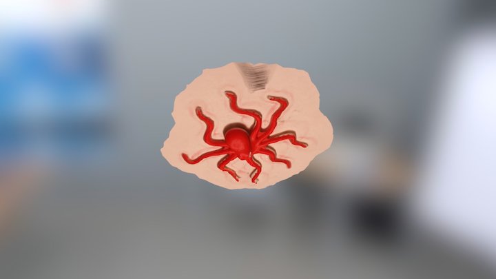 octo2 3D Model