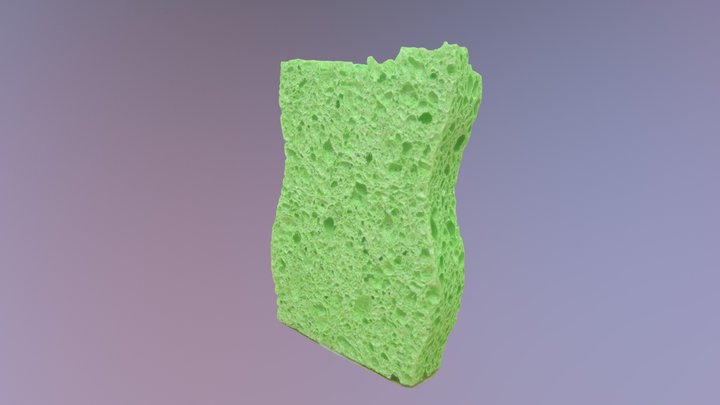 Green Sponge 3D Model