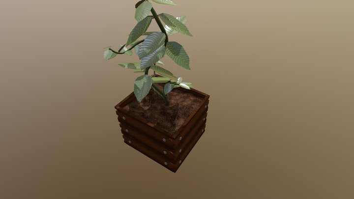 Low Poly Boxed Plant 3D Model