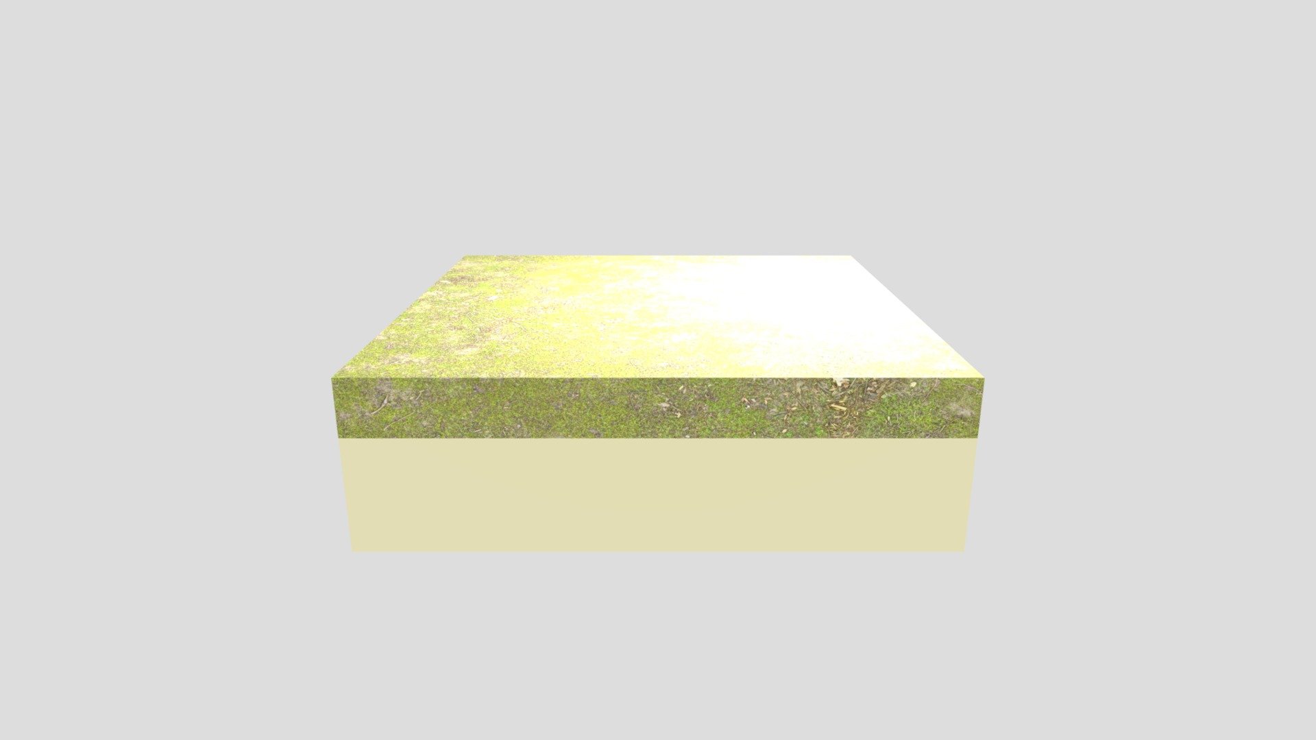 Grass Asset BioShock GO
